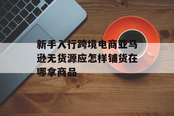 新手入行跨境电商亚马逊无货源应怎样铺货在哪拿商品