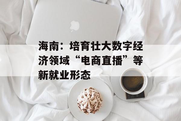 海南：培育壮大数字经济领域“电商直播”等新就业形态