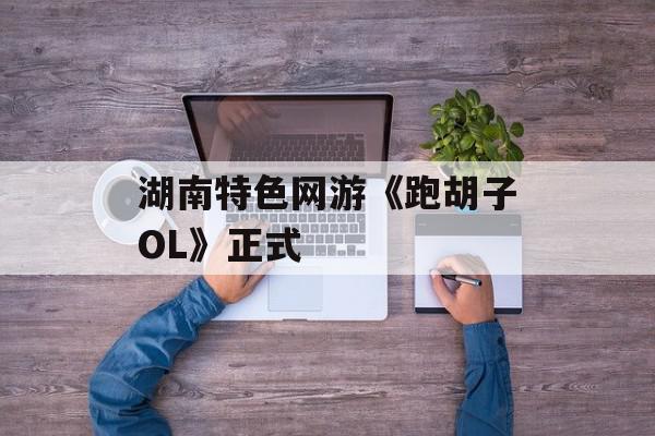 湖南特色网游《跑胡子OL》正式