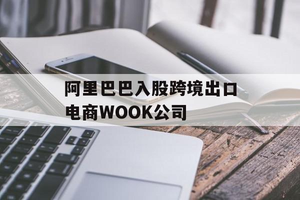 阿里巴巴入股跨境出口电商WOOK公司