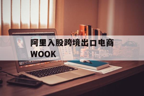 阿里入股跨境出口电商WOOK
