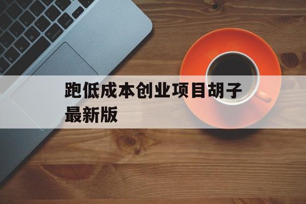 跑低成本创业项目胡子最新版
