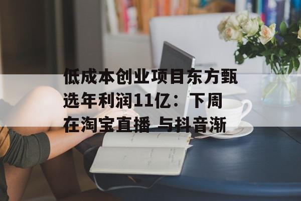 低成本创业项目东方甄选年利润11亿：下周在淘宝直播 与抖音渐