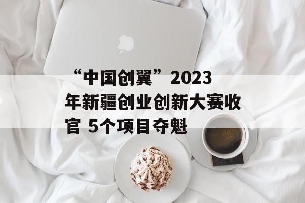 “中国创翼”2023年新疆创业创新大赛收官 5个项目夺魁