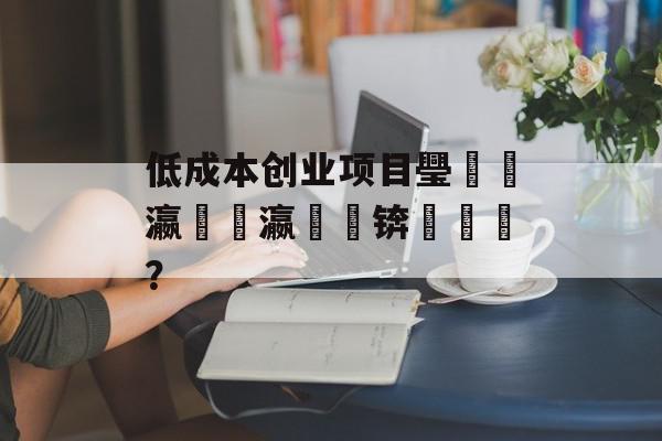 低成本创业项目璺戣儭瀛愶紙瀛楃墝锛夊悎闆？
