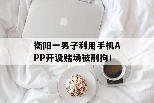 衡阳一男子利用手机APP开设赌场被刑拘！