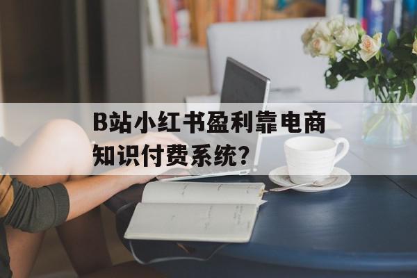 B站小红书盈利靠电商知识付费系统？