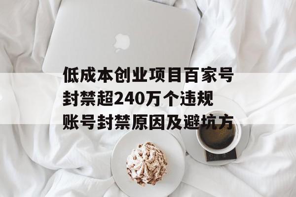 低成本创业项目百家号封禁超240万个违规账号封禁原因及避坑方