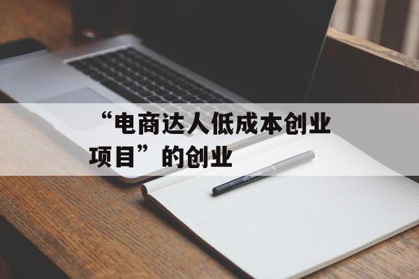 “电商达人低成本创业项目”的创业
