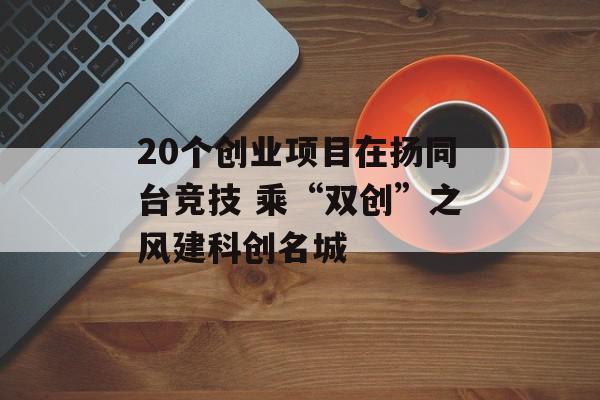 20个创业项目在扬同台竞技 乘“双创”之风建科创名城