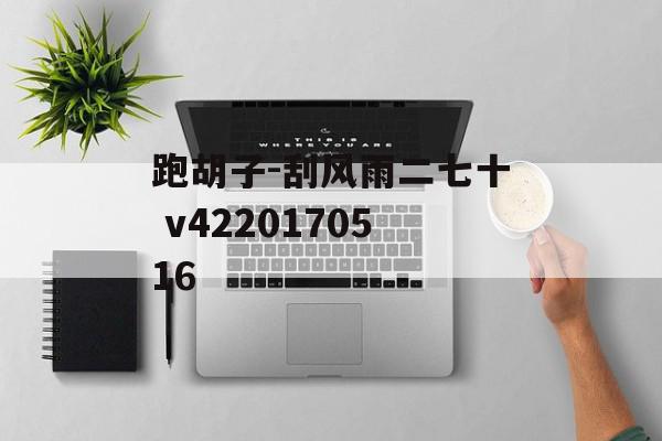 跑胡子-刮风雨二七十 v4220170516