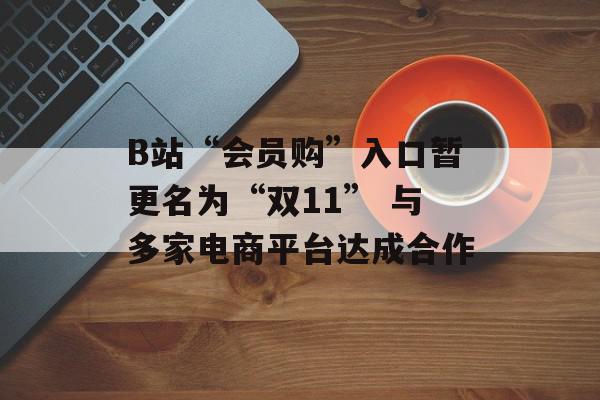B站“会员购”入口暂更名为“双11” 与多家电商平台达成合作