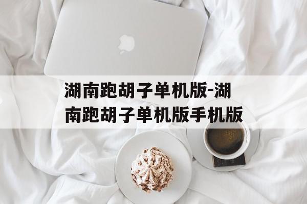 湖南跑胡子单机版-湖南跑胡子单机版手机版