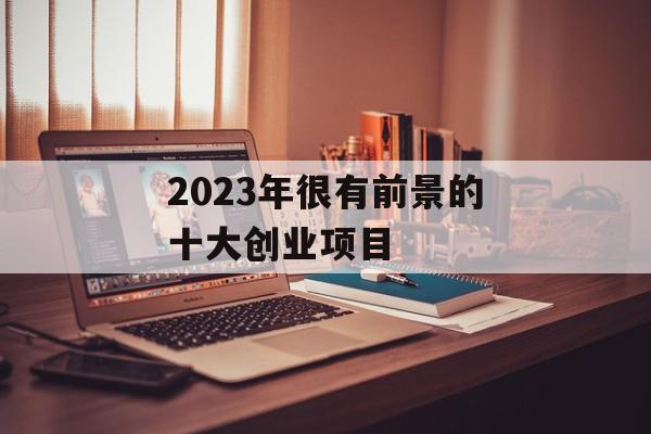 2023年很有前景的十大创业项目