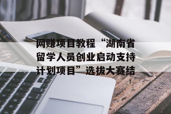 网赚项目教程“湖南省留学人员创业启动支持计划项目”选拔大赛结