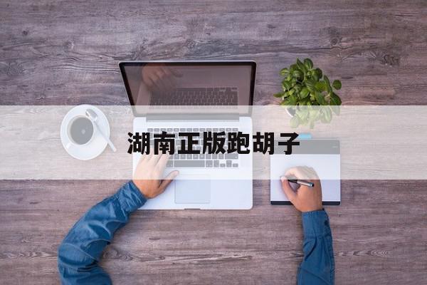 湖南正版跑胡子