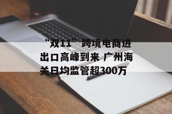 “双11”跨境电商进出口高峰到来 广州海关日均监管超300万