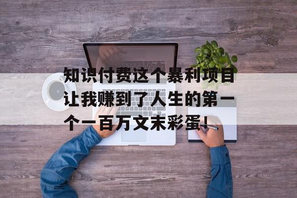 知识付费这个暴利项目让我赚到了人生的第一个一百万文末彩蛋！