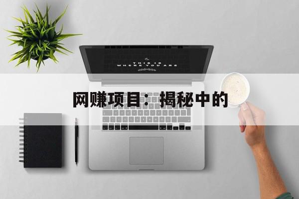 网赚项目：揭秘中的