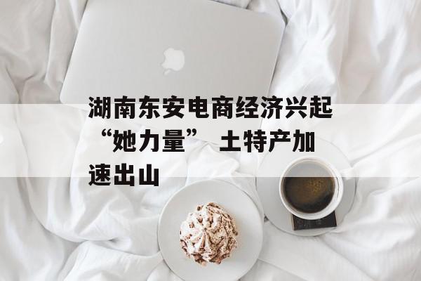 湖南东安电商经济兴起“她力量” 土特产加速出山