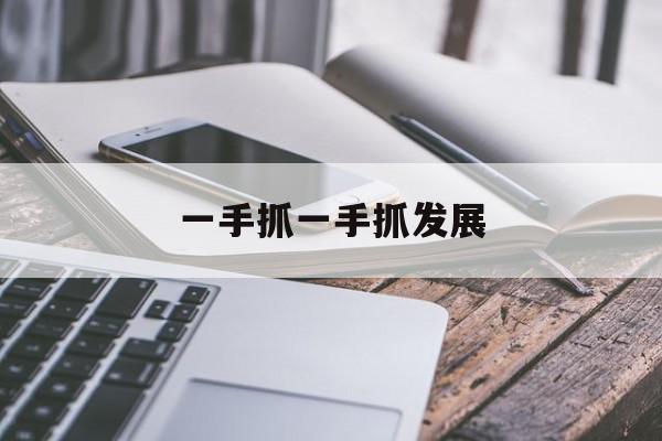 一手抓一手抓发展