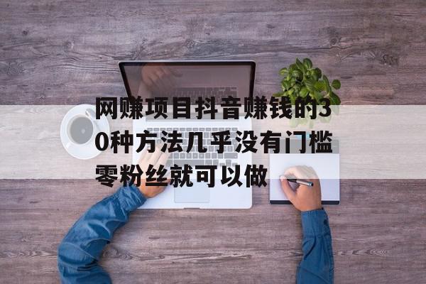 网赚项目抖音赚钱的30种方法几乎没有门槛零粉丝就可以做