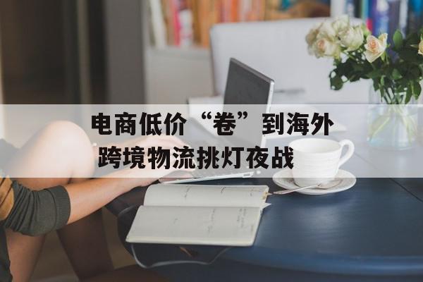 电商低价“卷”到海外 跨境物流挑灯夜战