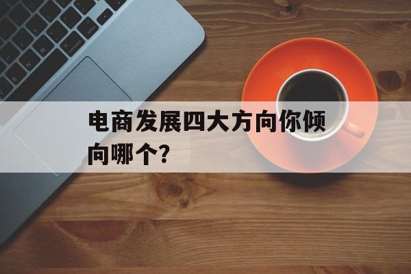 电商发展四大方向你倾向哪个？