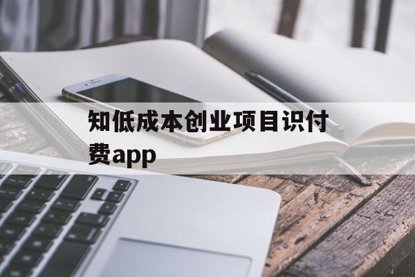 知低成本创业项目识付费app