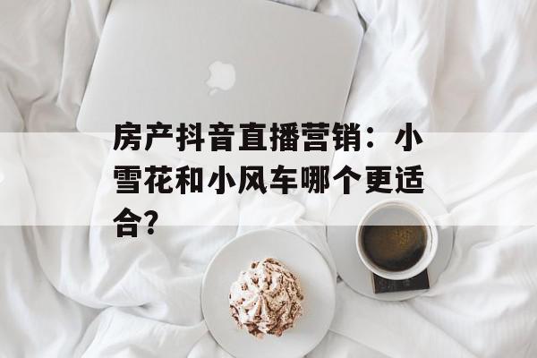 房产抖音直播营销：小雪花和小风车哪个更适合？