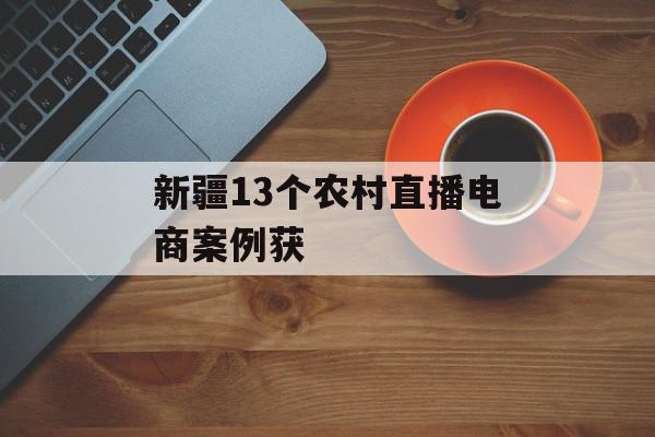 新疆13个农村直播电商案例获