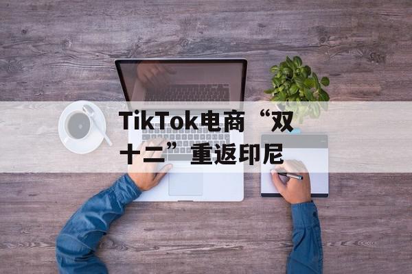TikTok电商“双十二”重返印尼