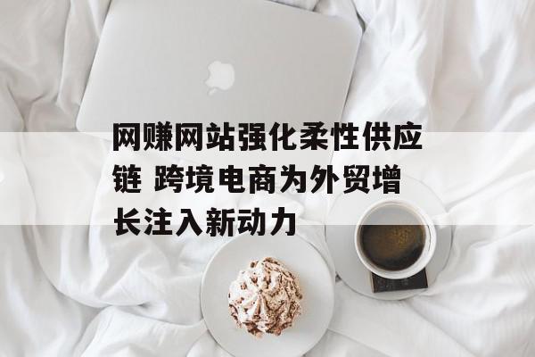 网赚网站强化柔性供应链 跨境电商为外贸增长注入新动力