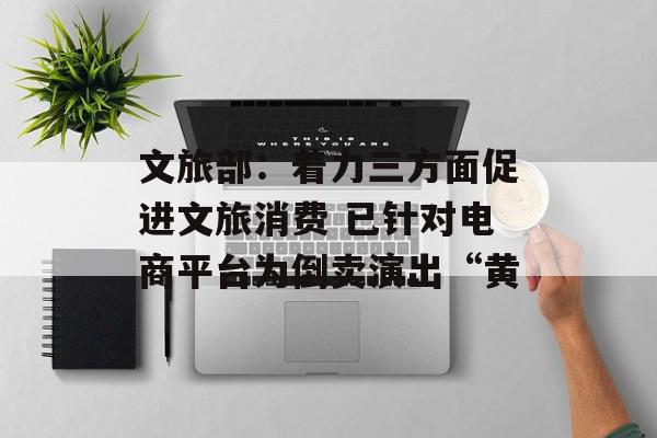 文旅部：着力三方面促进文旅消费 已针对电商平台为倒卖演出“黄