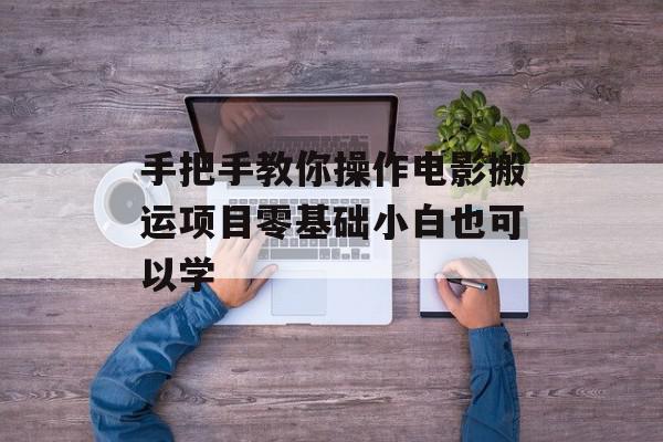 手把手教你操作电影搬运项目零基础小白也可以学