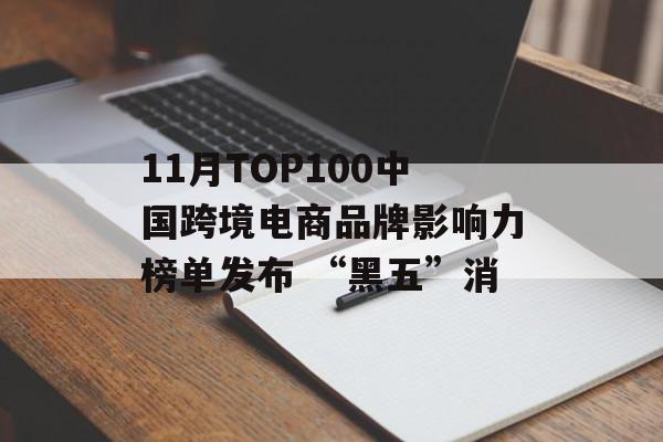 11月TOP100中国跨境电商品牌影响力榜单发布 “黑五”消