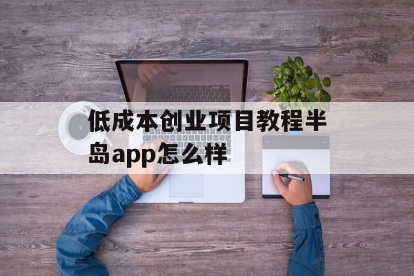 低成本创业项目教程半岛app怎么样