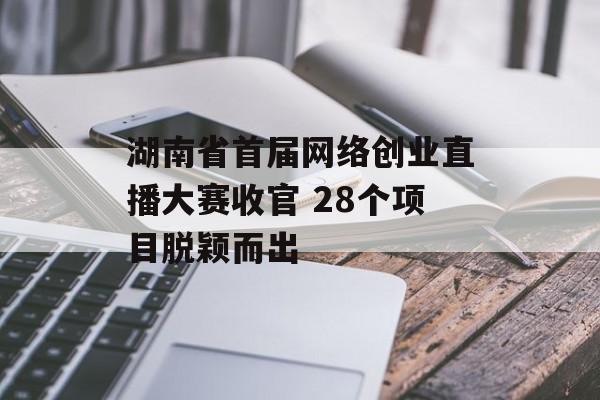 湖南省首届网络创业直播大赛收官 28个项目脱颖而出