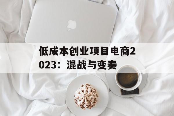 低成本创业项目电商2023：混战与变奏