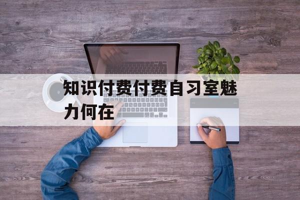 知识付费付费自习室魅力何在
