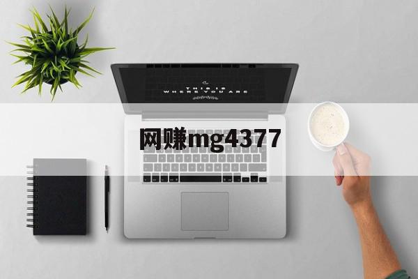 网赚mg4377