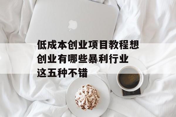 低成本创业项目教程想创业有哪些暴利行业 这五种不错
