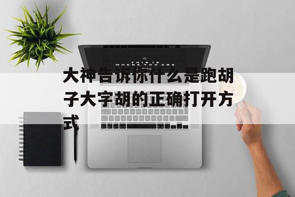 大神告诉你什么是跑胡子大字胡的正确打开方式