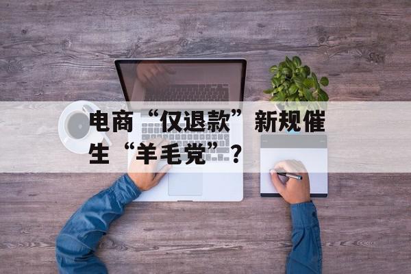 电商“仅退款”新规催生“羊毛党”？
