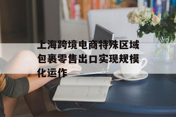 上海跨境电商特殊区域包裹零售出口实现规模化运作