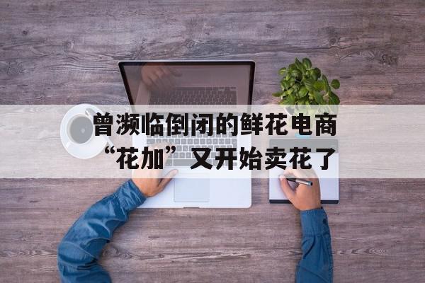 曾濒临倒闭的鲜花电商“花加”又开始卖花了