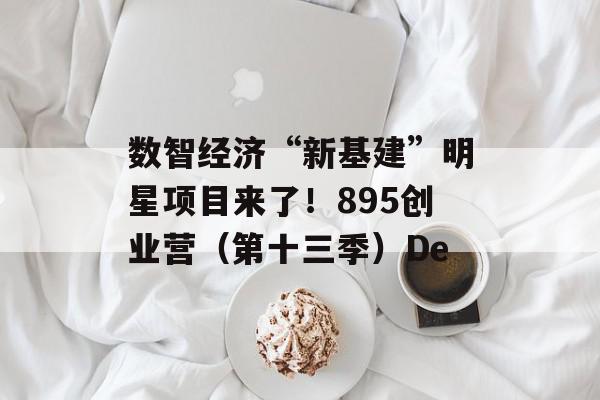 数智经济“新基建”明星项目来了！895创业营（第十三季）De