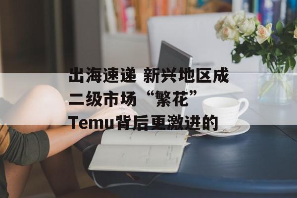 出海速递 新兴地区成二级市场“繁花”  Temu背后更激进的