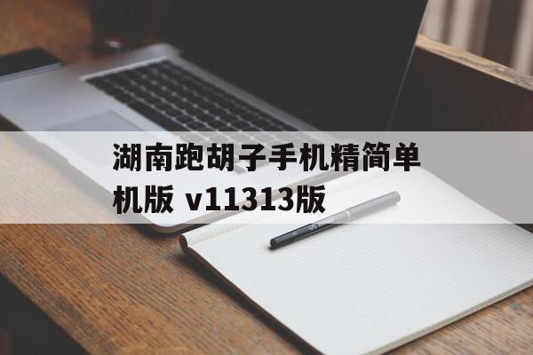 湖南跑胡子手机精简单机版 v11313版