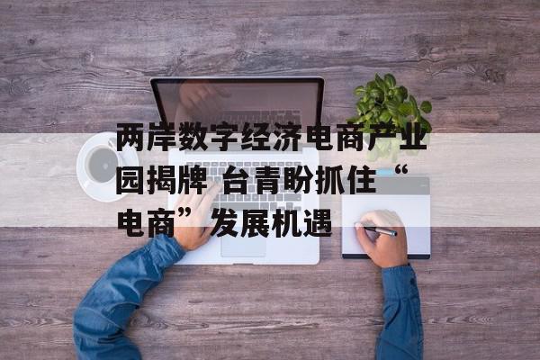 两岸数字经济电商产业园揭牌 台青盼抓住“电商”发展机遇